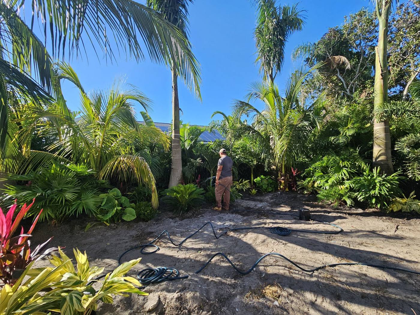 Coast Landscape Design crew member working through a full tropical landscape installation