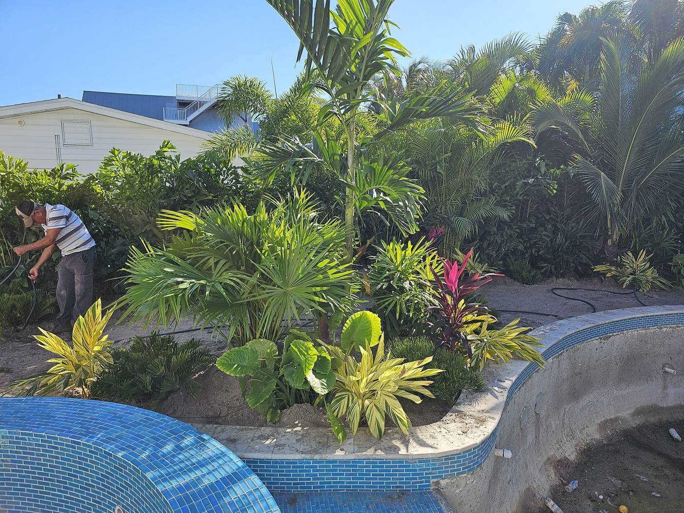 Raised planter wall with tile accents and tropical plantings surrounding a pool and spa